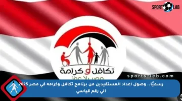 رسميًا.. وصول أعداد المستفيدين من برنامج تكافل وكرامة في مصر 2025 إلى رقم قياسي